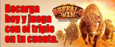 Premium online casino interface with golden chips and roulette